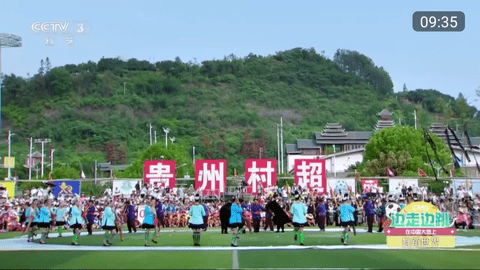 神鸟电视自建频道港澳台版 3.6.2 安卓版 1