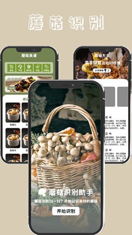 蘑菇识别高手 1.6 安卓版 2