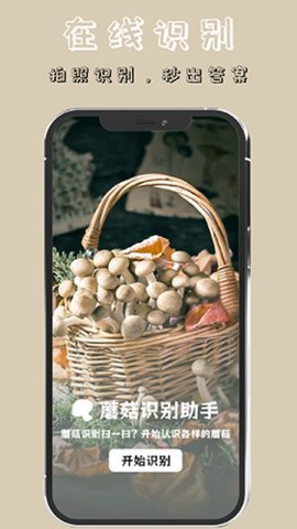 蘑菇识别高手 1.6 安卓版 1