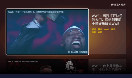 wwe大视界 2.4.996 正版 2