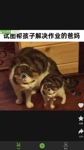 草图大全短视频App红包版   1