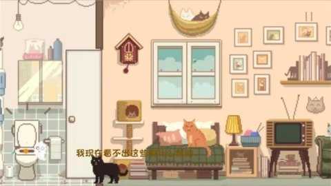 大城小猫 1.0.4 安卓版 3
