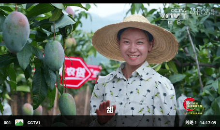 影视壳子海信电视版 20230722#2  2