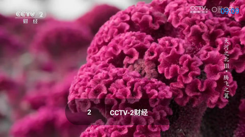 TVBoxMax 1.3.2 安卓版 1