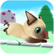 小猫跑酷