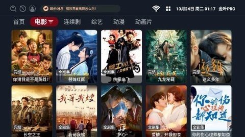 金叶PRO电视版 2.1.231018 免费版 4