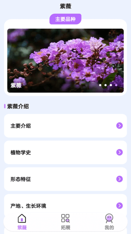 紫薇花园 493.101 最新版 1
