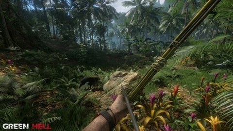 绿色地狱steam 1.3.3 安卓版 1