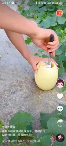 北猴短视频赚钱软件 1.1.2 安卓版 1