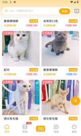 喵鑫球宠物 2.0.2 安卓版 1