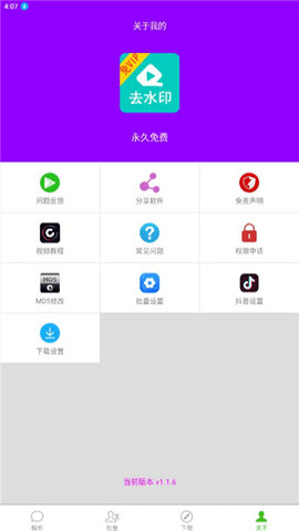 柠檬解析 1.2.4 最新版 1