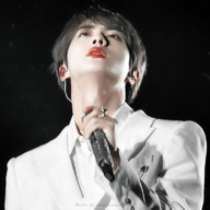 苦夏醉微风无限鲜花版