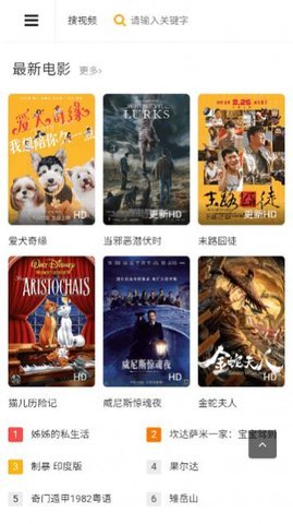 野猫视频 1.1.0 安卓版 2