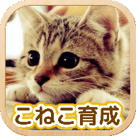 3D猫咪养成