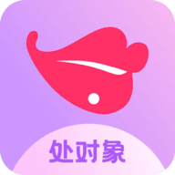 处对象中年版