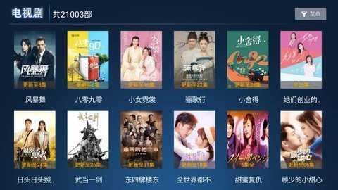 叶子影院 3.0.3 官方版 1