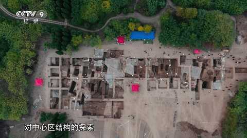 鲨鱼电视tv版 5.2.0 最新版 4