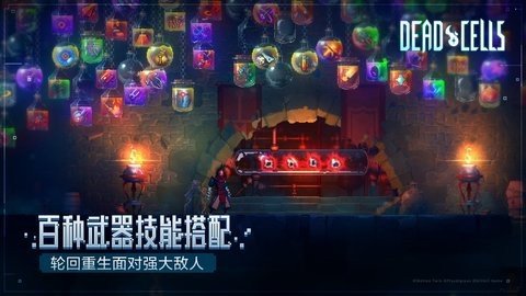 重生细胞手机版 3.5.8-bilibili-UO 最新版 3