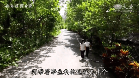 Mtv电视版盒子版 1.0.1 免费版 2