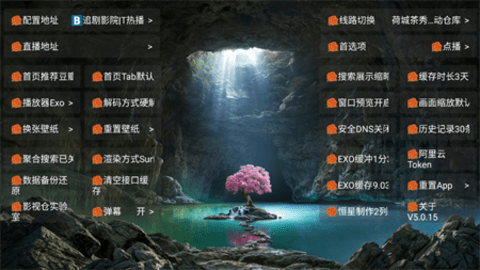 恒星影视仓pro 5.0.44.1 安卓版 3