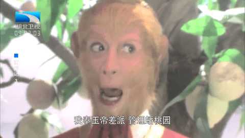 狗tv官方下载最新版本 1.3.2 安卓版 3