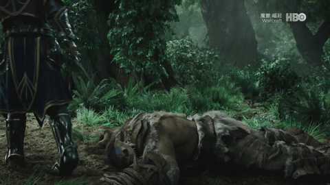 山本一木电视直播 6.6.6 安卓版 3