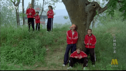 驼铃电视直播 1.1.1 免费版 1