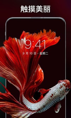 灵猫壁纸大全 1.0.3  2