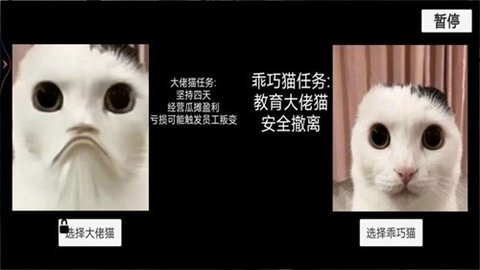 猫猫惊魂夜 1.0 安卓版 3