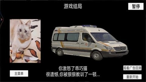 猫猫惊魂夜 1.0 安卓版 2