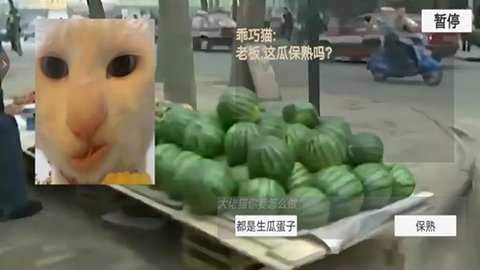 猫猫惊魂夜 1.0 安卓版 1