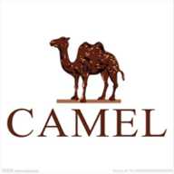 骆驼影院tv电视盒子