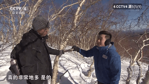 人人电视 5.0.6 安卓版 2