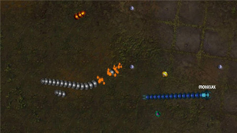 贪吃瑞拉 3.3.2 安卓版 3