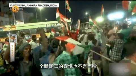 小树林TV纯净版 5.2.0 安卓版 2