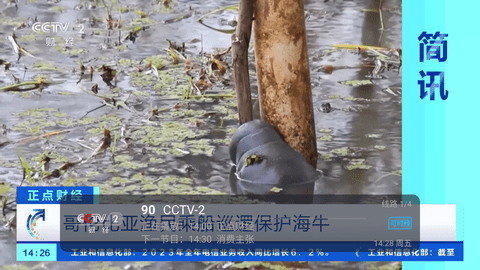 小齐TV最新版 0.2 安卓版 1