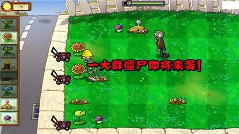 植物大战僵尸重生版 1.20231002 安卓版 1