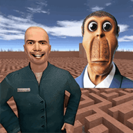 躲避贼溜-迷宫躲猫猫