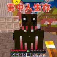 方块迷阵搭建-雾中人生存