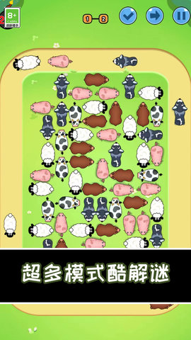 小猪快跑 1.0.0  1