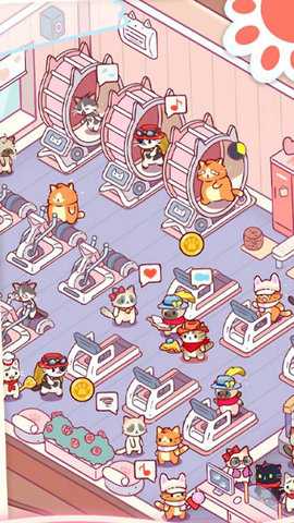 猫咪健身房 1.0  1