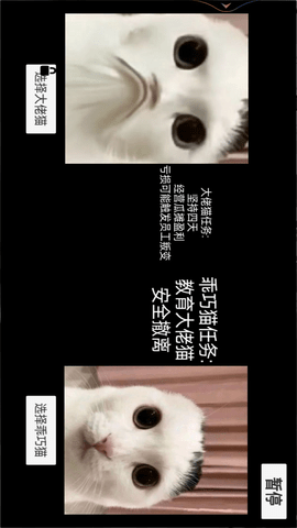 恐怖猫猫惊魂 1.0  3