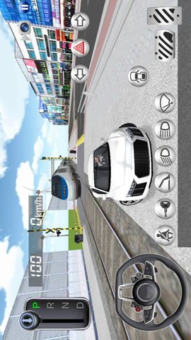 真实模拟驾驶 1.0  1