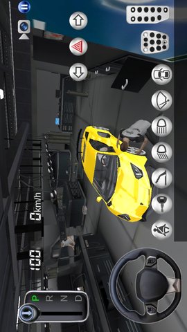 真实模拟驾驶 1.0  2