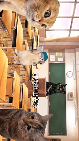 恐怖猫猫惊魂 1.0  1