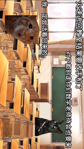 恐怖猫猫惊魂 1.0  2