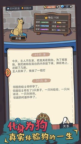 狗生模拟器 1.0.12 安卓版 3