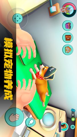 汪了个汪 189.1.5 安卓版 2