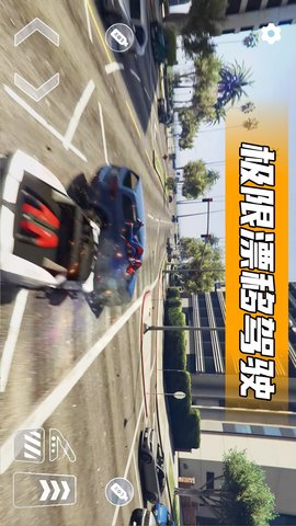 自由汽车驾驶 300.1.0  3