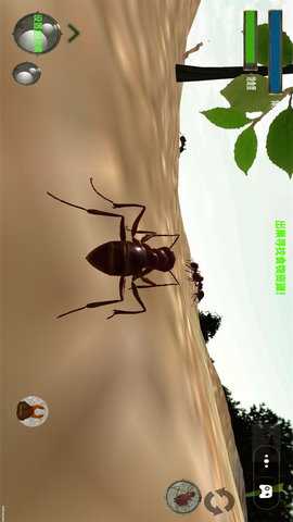 蚂蚁世界模拟器 1.0  1